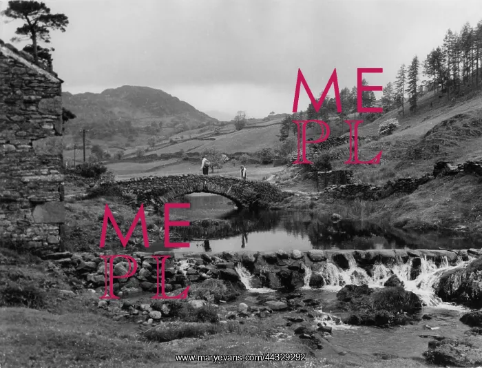 : LODORE STREAM : LODORE STREAM