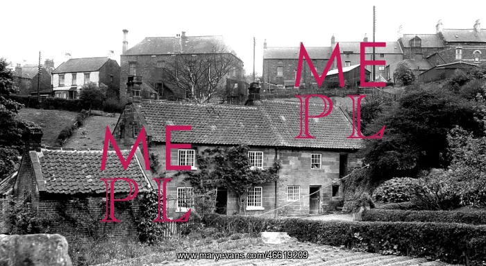  : Loftus, Loftus Mill c1955