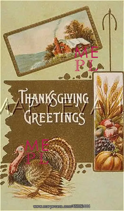 : LOG CABIN, TURKEY ETC : LOG CABIN, TURKEY ETC