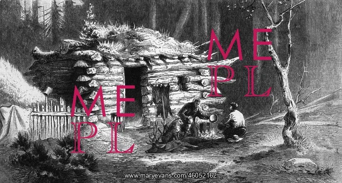  : Log Cabin in the USA c. 1885