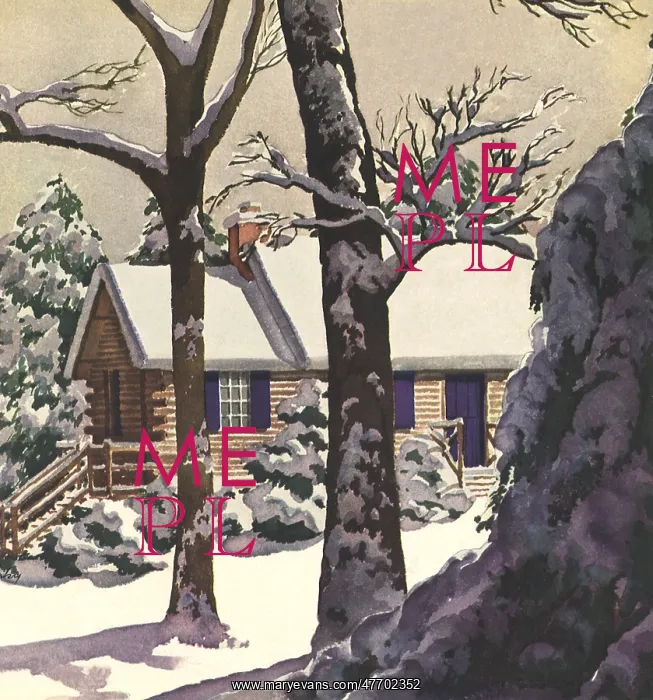  : Log Cabin in Winter
