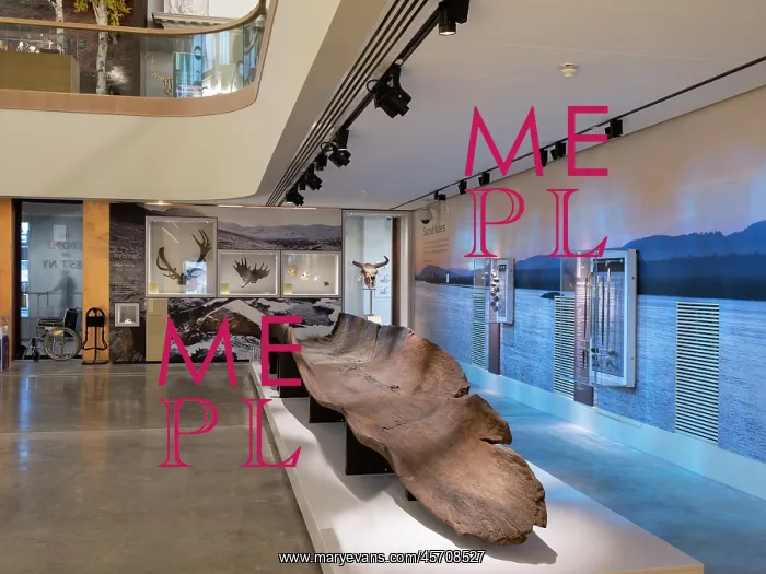 : Logboat, Perth Museum, Perth, Scotland : Logboat, Perth Museum, Perth, Scotland