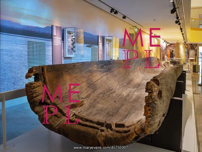 : Logboat, Perth Museum, Perth, Scotland : Logboat, Perth Museum, Perth, Scotland