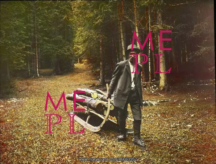 : Logger. Salzkammergut. Hand-coloured lantern slide. Around 1905 : Logger. Salzkammergut. Hand-coloured lantern slide. Around 1905