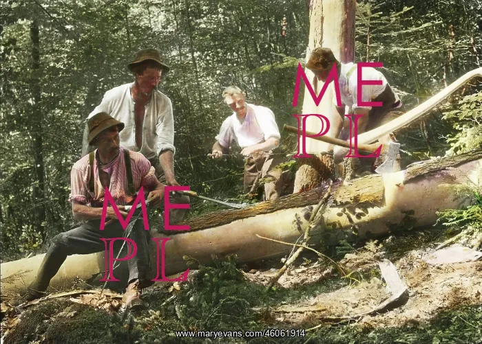 : Loggers. Hollental. Lower Austria. Hand-coloured lantern slide. 1909 : Loggers. Hollental. Lower Austria. Hand-coloured lantern slide. 1909