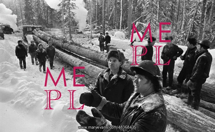 : Logging. TOMSK REGION, USSR. February 1, 1974 : Logging. TOMSK REGION, USSR. February 1, 1974