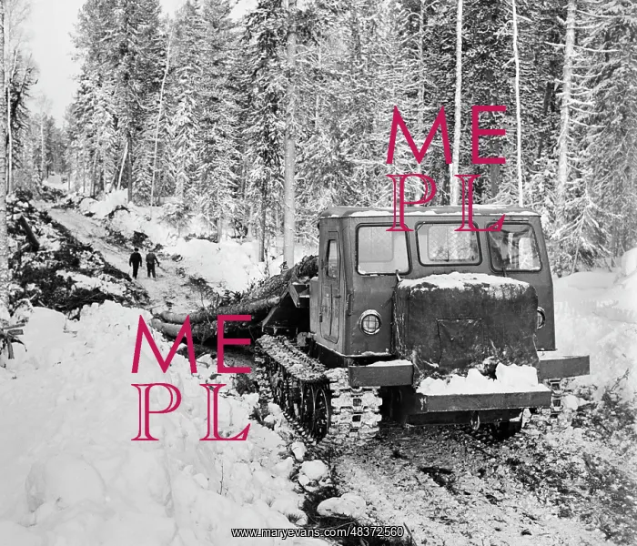 : Logging. TOMSK REGION, USSR. January 18, 1974 : Logging. TOMSK REGION, USSR. January 18, 1974