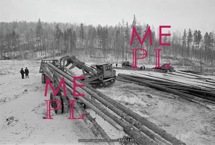 : Logging. USSR. January 15, 1980. Loading timber on A : Logging. USSR. January 15, 1980. Loading timber on A
