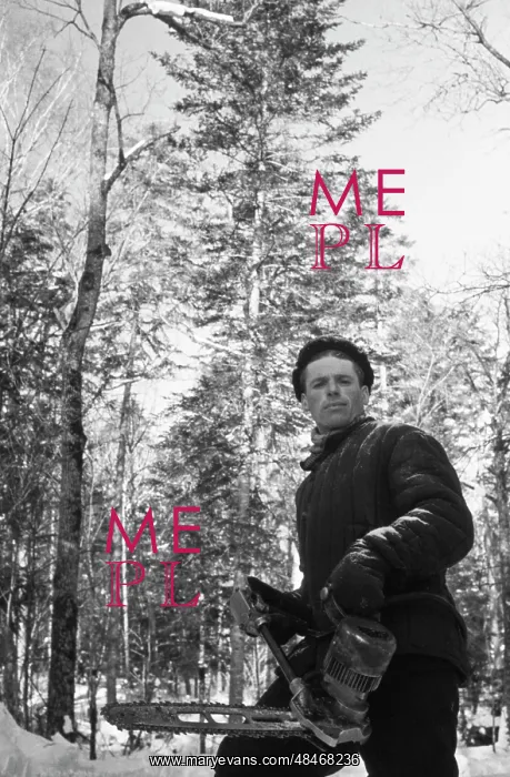 : Logging. The USSR. March 20, 1956. A logger cuts trees. Vasily Yegorov / TASS : Logging. The USSR. March 20, 1956. A logger cuts trees. Vasily Yegorov / TASS