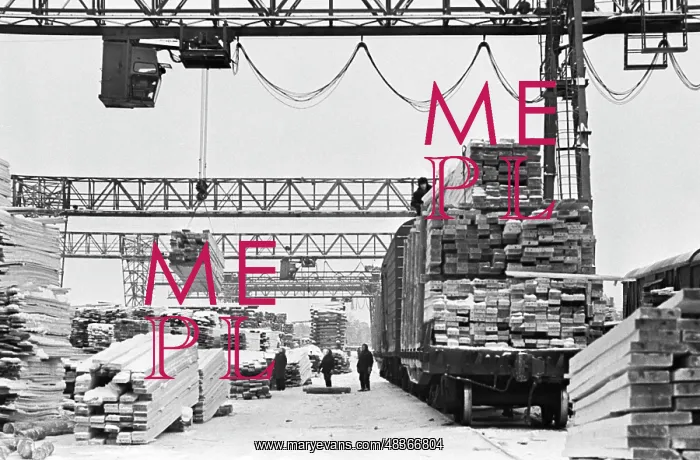 : Logging Company : Logging Company