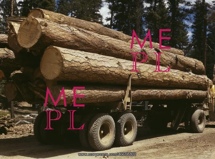  : Logging - industry - lumber wood