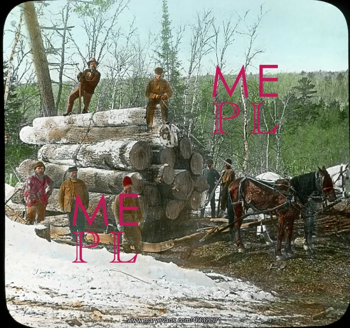: Logging - Loggers - Industry - Occupations - USA : Logging - Loggers - Industry - Occupations - USA