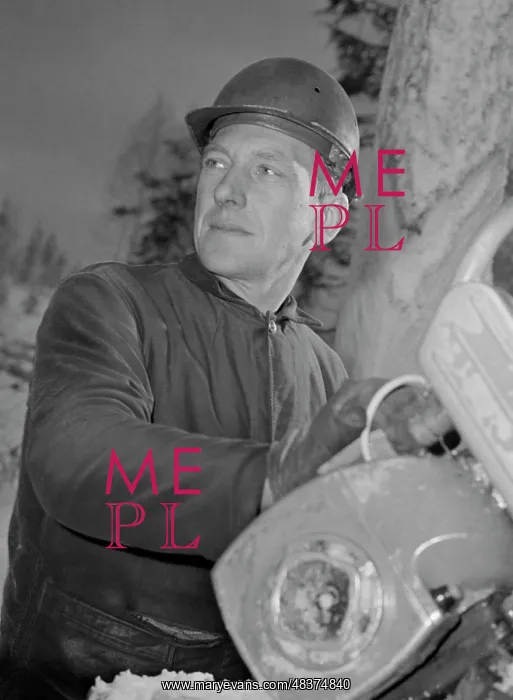 : Logging operator Viktor Palynsky : Logging operator Viktor Palynsky