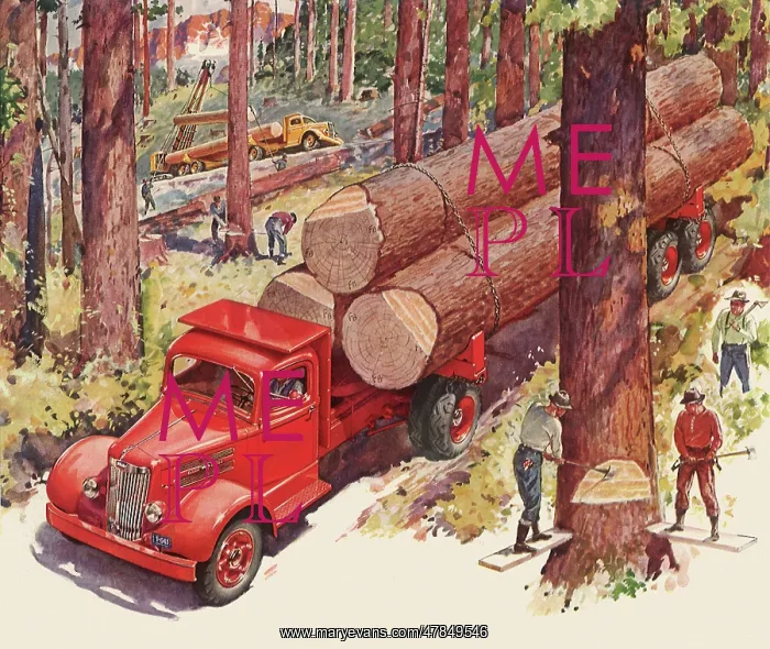  : Logging Truck