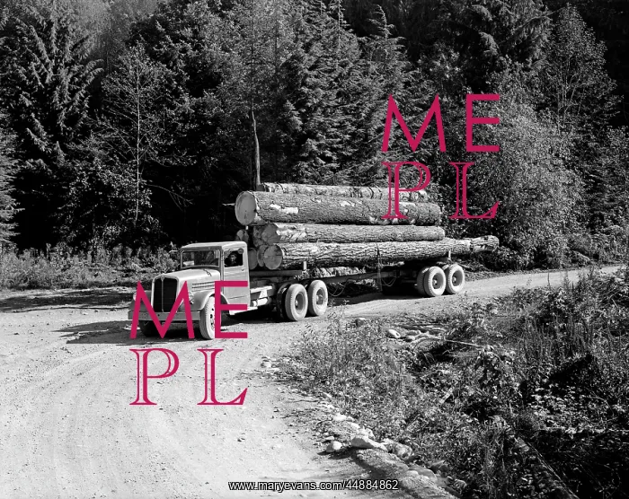  : Logging Truck Lumber Deforestation
