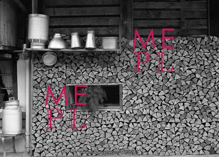 : Logs stored under a chalet in Switzerland : Logs stored under a chalet in Switzerland