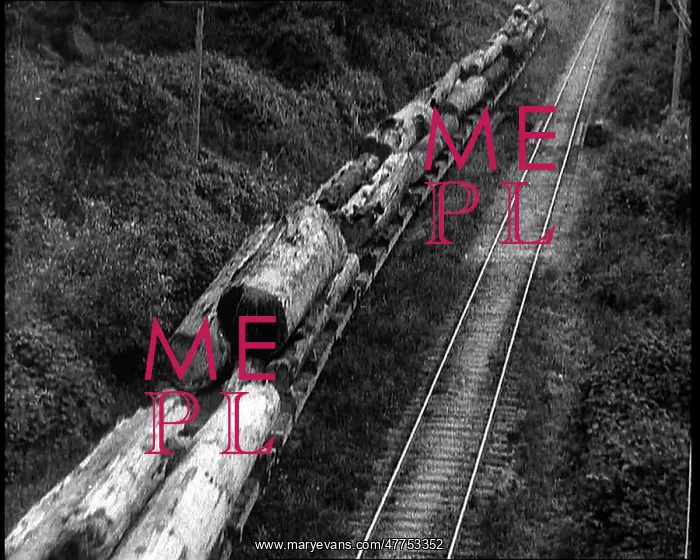  : Logs of Wood on a Train Waggon