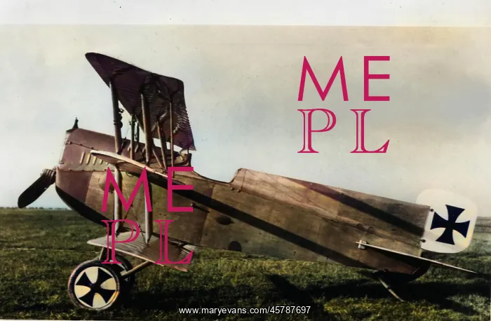  : Lohner Triplane single seat fighter