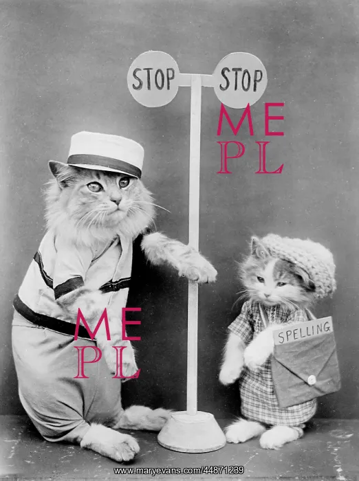 : LOLLIPOP CAT : LOLLIPOP CAT