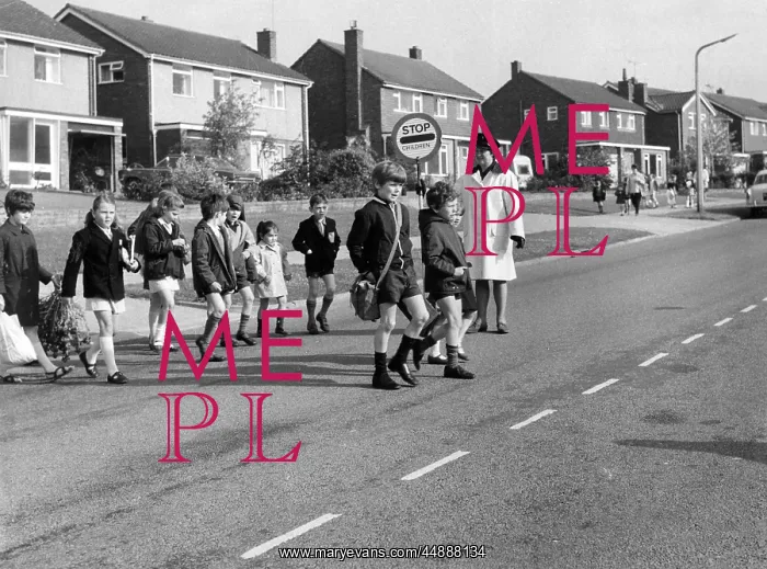 : LOLLIPOP LADY : LOLLIPOP LADY