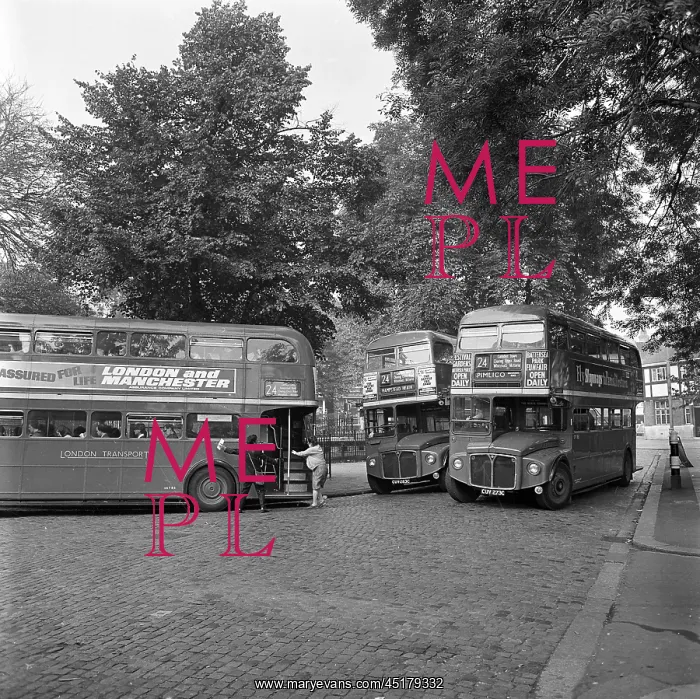 : London bus : London bus