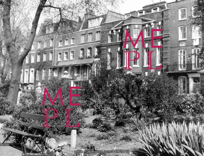 : LONDON / CHEYNE WALK : LONDON / CHEYNE WALK