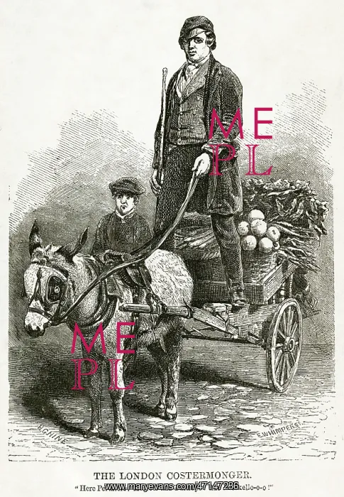 : London costermonger 1850s : London costermonger 1850s