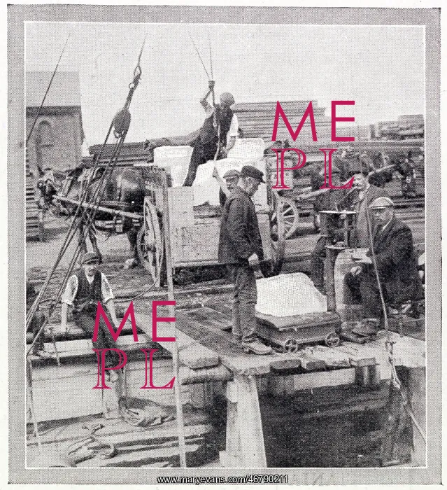 : London Dock Strikes - Import of Ice 1911 : London Dock Strikes - Import of Ice 1911