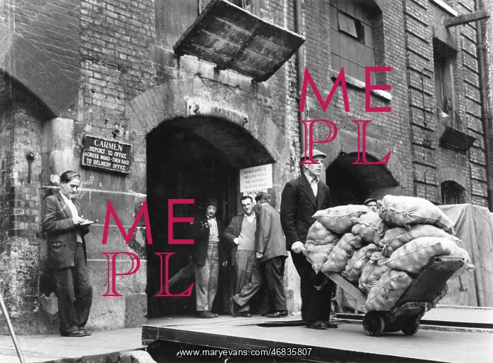 : LONDON DOCKS 1959 : LONDON DOCKS 1959
