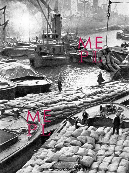  : London docks, early 1900s