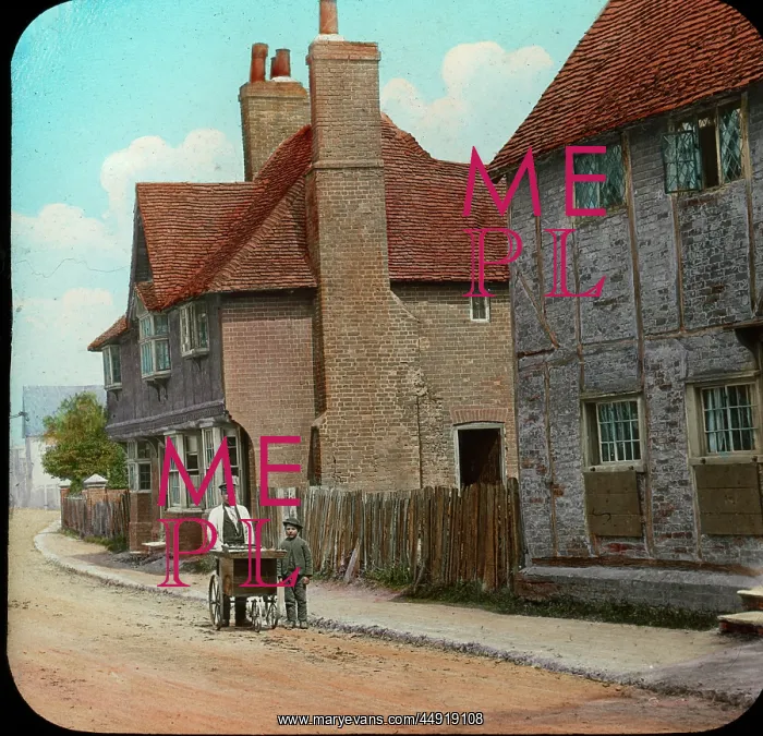 : London, England - Orpington : London, England - Orpington
