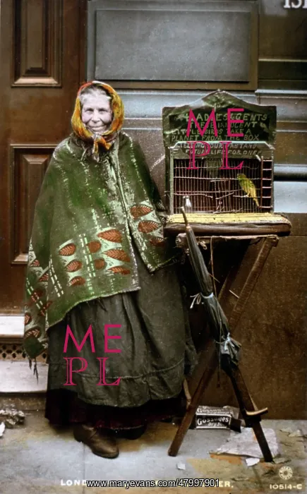 : London fortune teller and her birds : London fortune teller and her birds
