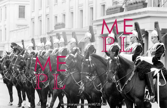 : London horseguards : London horseguards