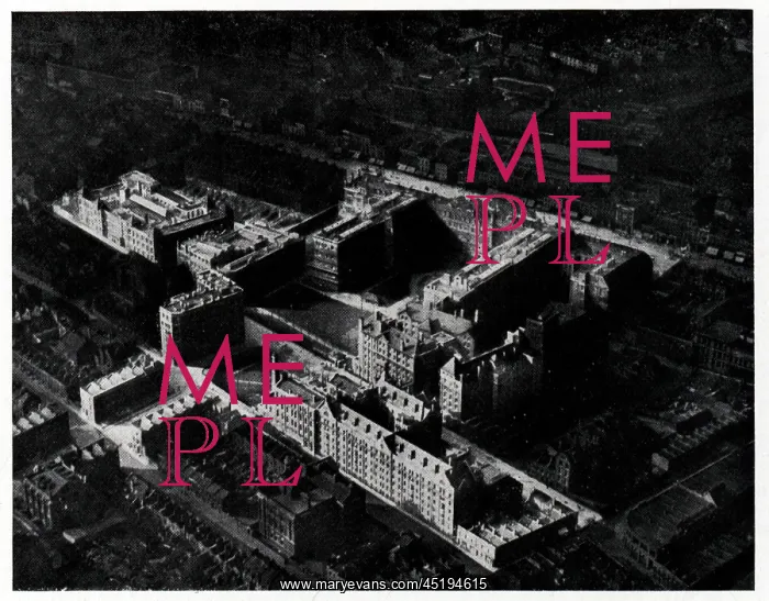 : London Hospital Advertisement : London Hospital Advertisement