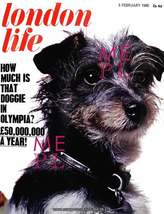 : London Life front cover, 1966 : London Life front cover, 1966