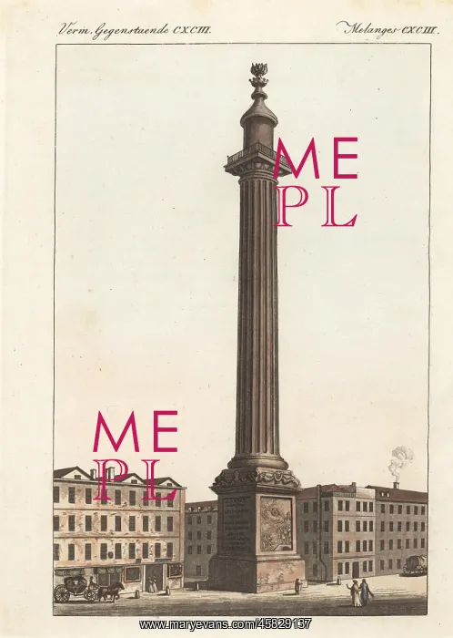 : The London Monument, 1800s : The London Monument, 1800s