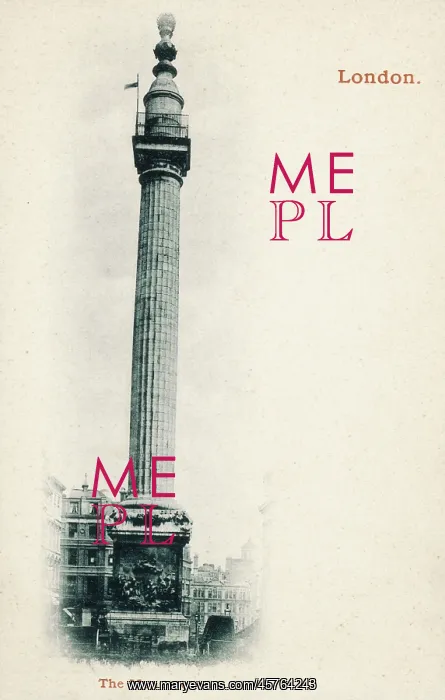 : London - The Monument : London - The Monument