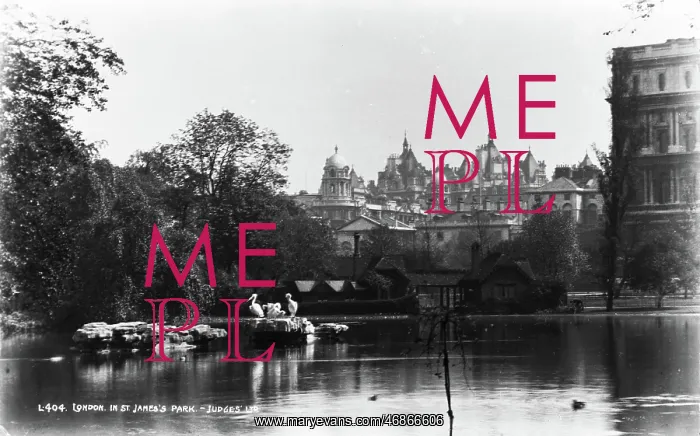 : London in St James's Park : London in St James's Park