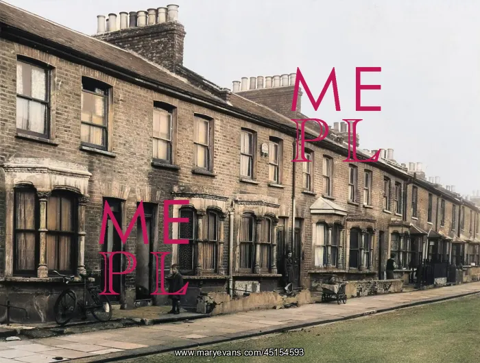 : LONDON TERRACED HOUSING : LONDON TERRACED HOUSING