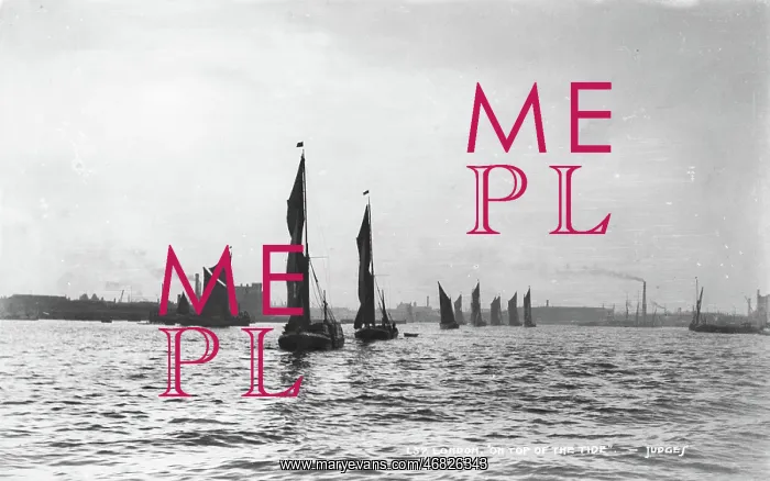: London on Top of the Tide : London on Top of the Tide