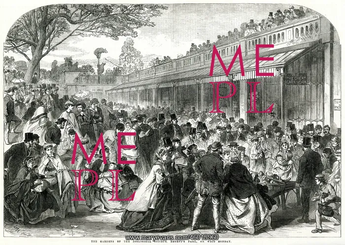 : London Zoo, Whit Monday 1866 : London Zoo, Whit Monday 1866