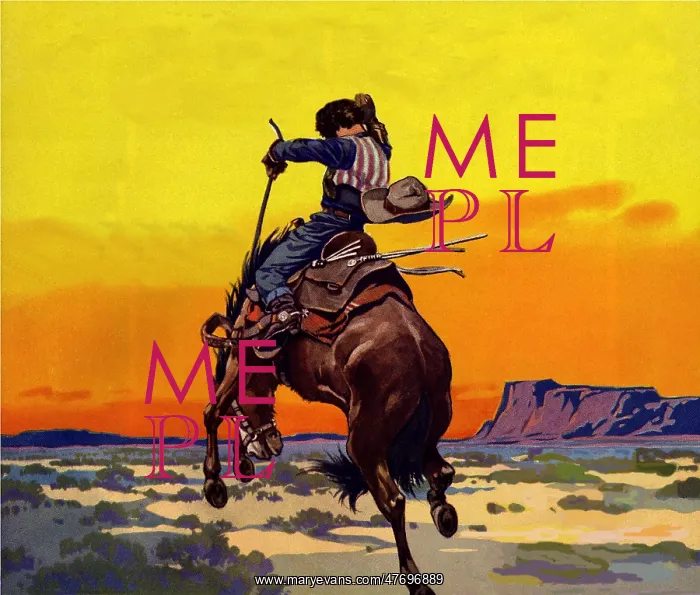  : Lone Sunset Rodeo