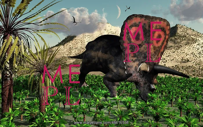 : A lone Torosaurus dinosaur feeding on plants : A lone Torosaurus dinosaur feeding on plants