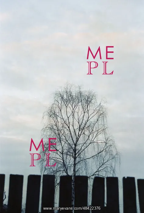 : Lonely Birch Tree photo art work, 1990 : Lonely Birch Tree photo art work, 1990