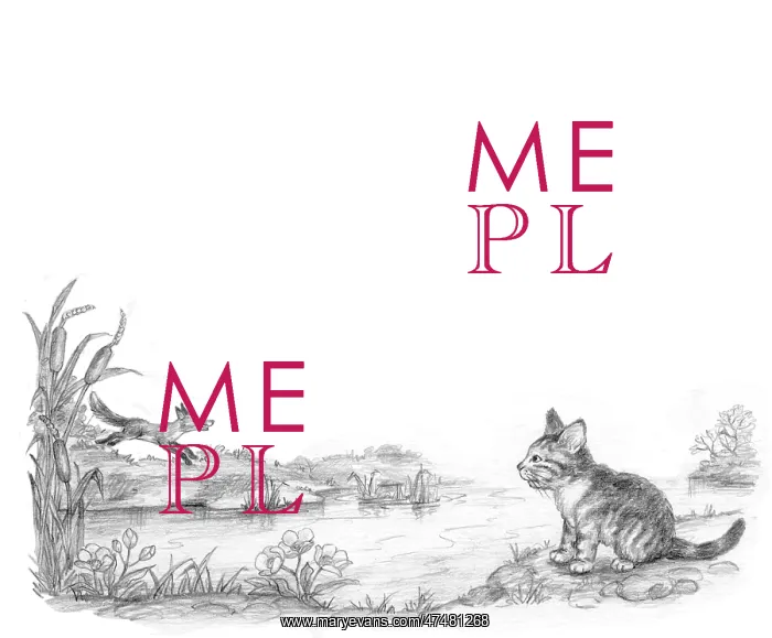  : The Lonely Kitten
