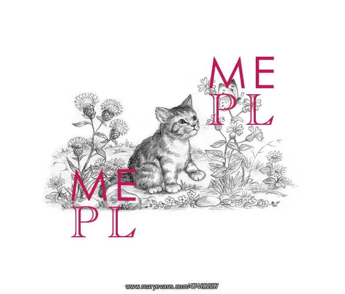  : The Lonely Kitten