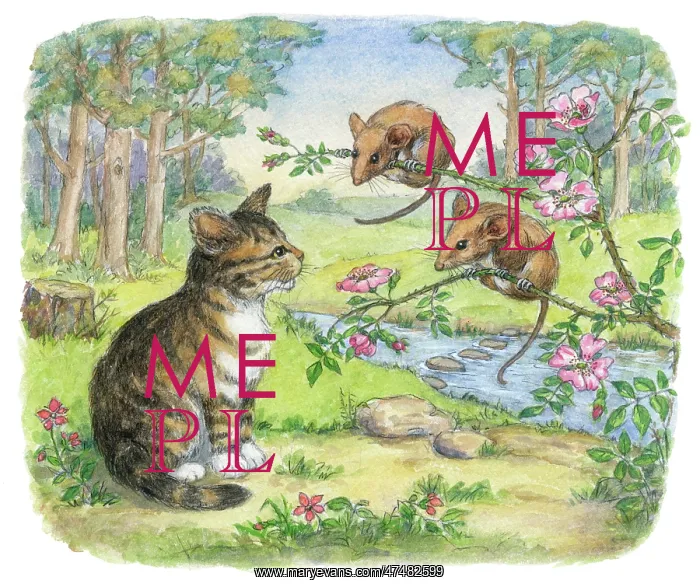  : The Lonely Kitten