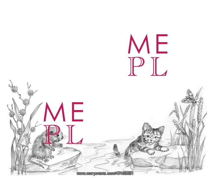  : The Lonely Kitten