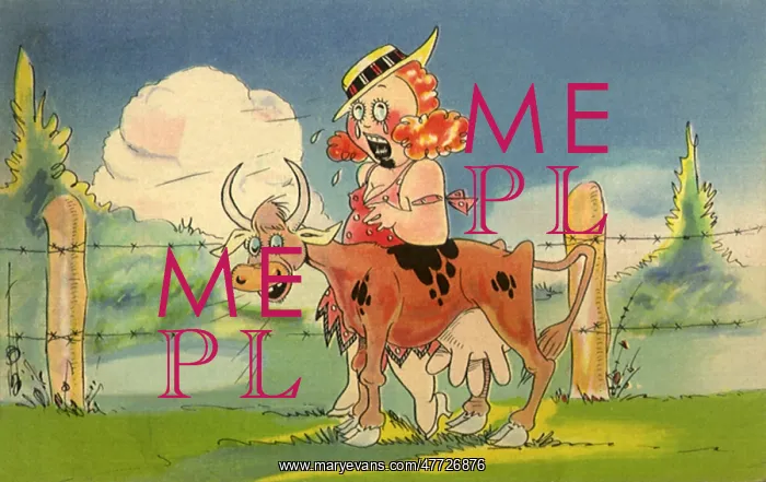  : Lonesome Woman and Cow