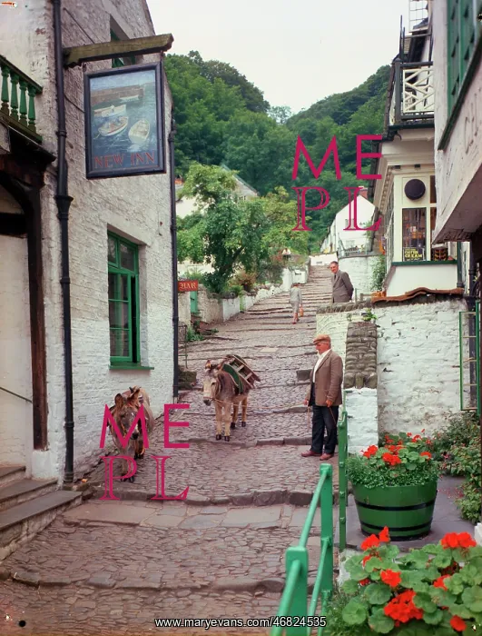 : Up a long, Clovelly : Up a long, Clovelly